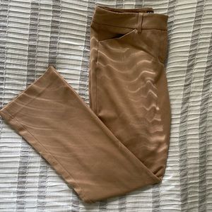 Express camel Editor pant